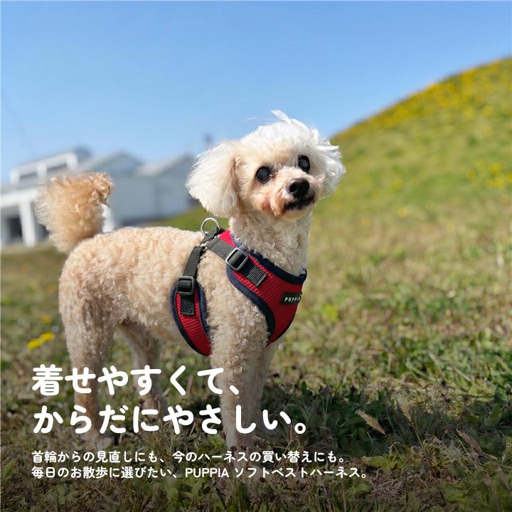 犬 服 夏 PUPPIA パピア 正規品 ソフトベストハーネス ハーネス 胴輪