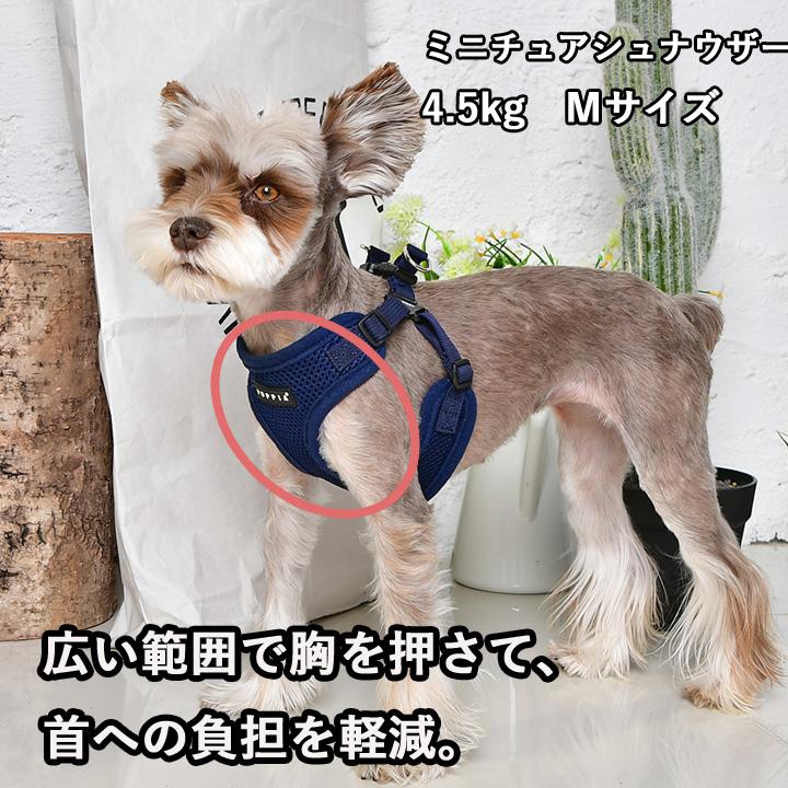 犬 服 夏 PUPPIA パピア 正規品 ソフトベストハーネス ハーネス 胴輪