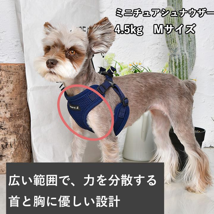犬 服 夏 PUPPIA パピア 正規品 ソフトベストハーネス ハーネス 胴輪