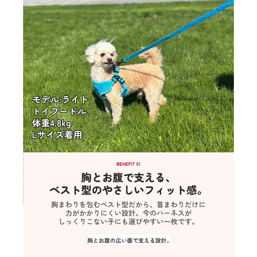 犬 服 夏 PUPPIA パピア 正規品 ソフトベストハーネス ハーネス 胴輪