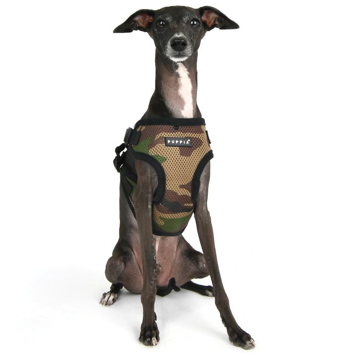 犬 服 夏 ハーネス 胴輪 イタグレ イタリアングレーハウンド PUPPIA