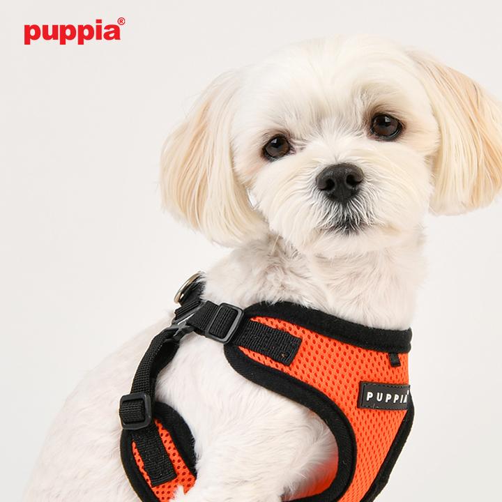 はっぴーDOG ハーネス リード セット 胴輪 犬 小型犬 中型犬 超小型犬