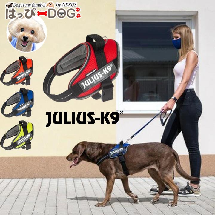 はっぴーDOG ハーネス 犬 Julius-K9 ユリウスケーナイン メッシュ