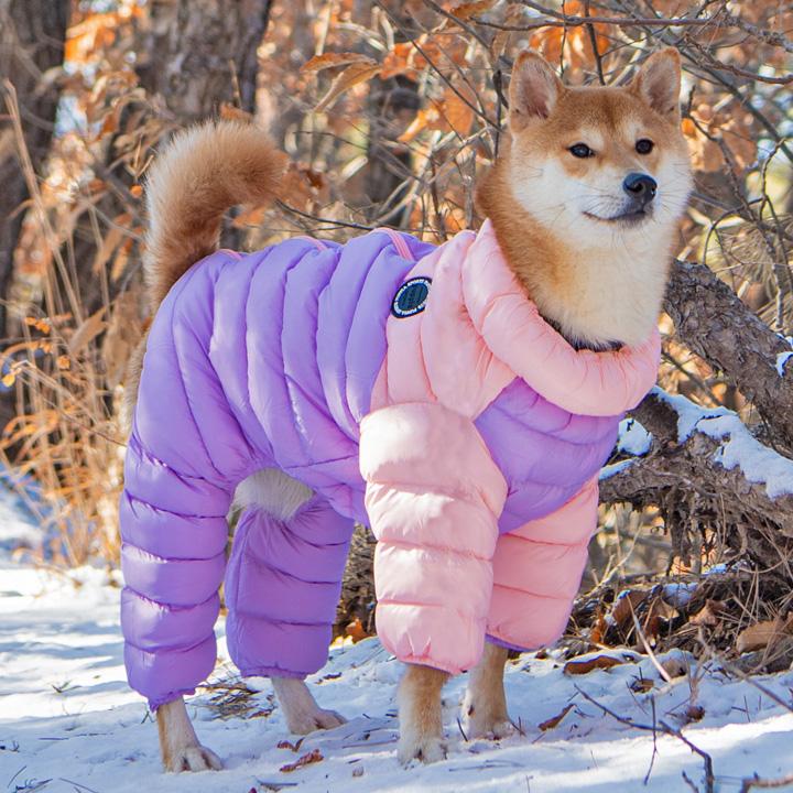 犬服・アクセサリー maybe 楽天市場】ドッグウェア タンクトップ おしゃれ ブランド MAiTE