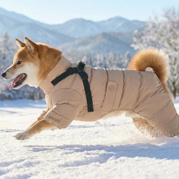 はっぴーDOG 犬 服 犬服 いぬ 犬の服 ジャケット ハーネス付き つなぎ