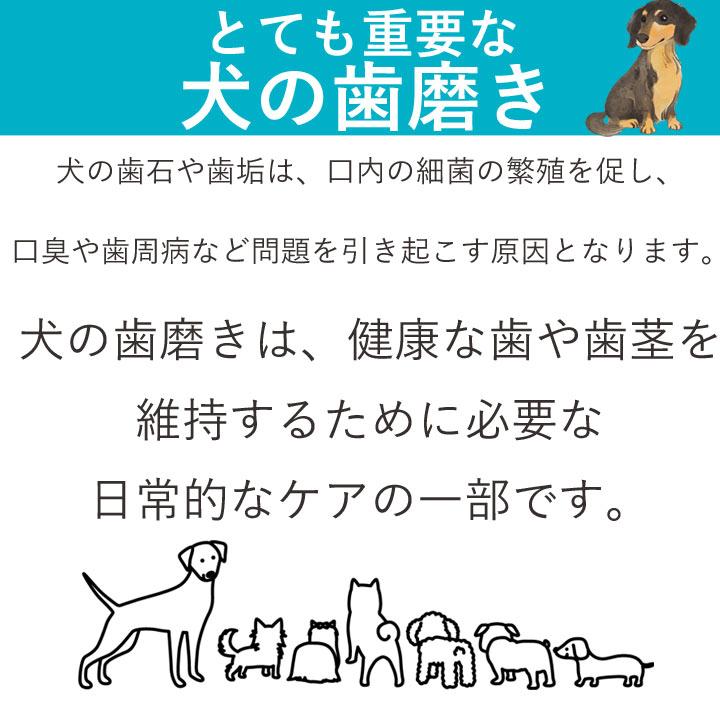 オーラバイオペースト OraBio 犬 歯磨き ジェル 歯磨きジェル はみがき 歯垢 歯磨き粉 歯みがき | はっぴーDOG | 04