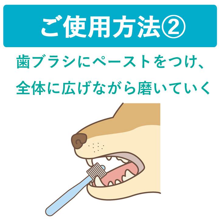 オーラバイオペースト OraBio 犬 歯磨き ジェル 歯磨きジェル はみがき 犬口ケア 歯垢 歯磨き粉 歯みがき｜k-city｜09