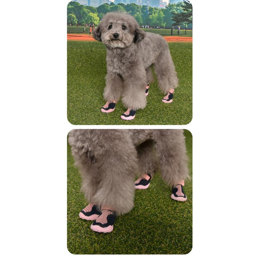 はっぴーDOG 犬 靴 犬靴 犬の靴 犬用靴 ドッグシューズ スニーカー 夏