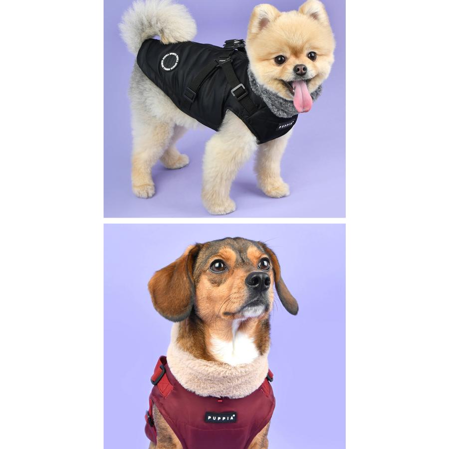 はっぴーDOG 犬 服 犬服 いぬ 犬の服 ジャケット ハーネス付き 背中