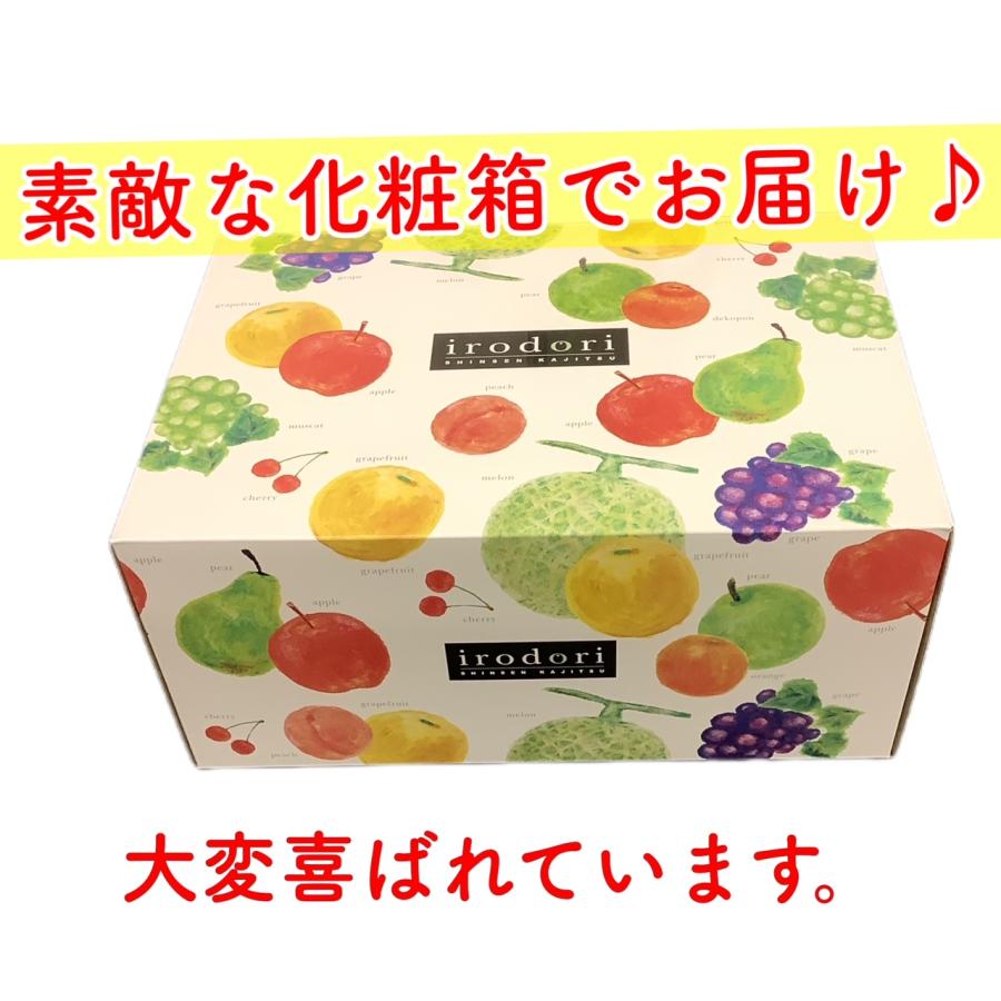 フルーツセット 果物セット 果物詰め合わせ フルーツ詰め合わせ