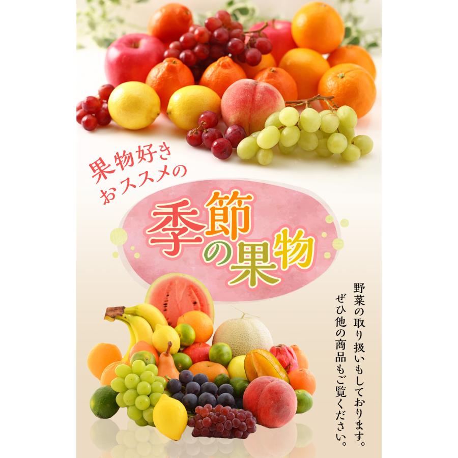 フルーツセット 果物セット 果物詰め合わせ フルーツ詰め合わせ