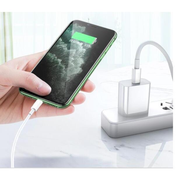 携帯ケーブル2本セット 充電ケーブル 18WPD充電器 PD急速充電 iPad