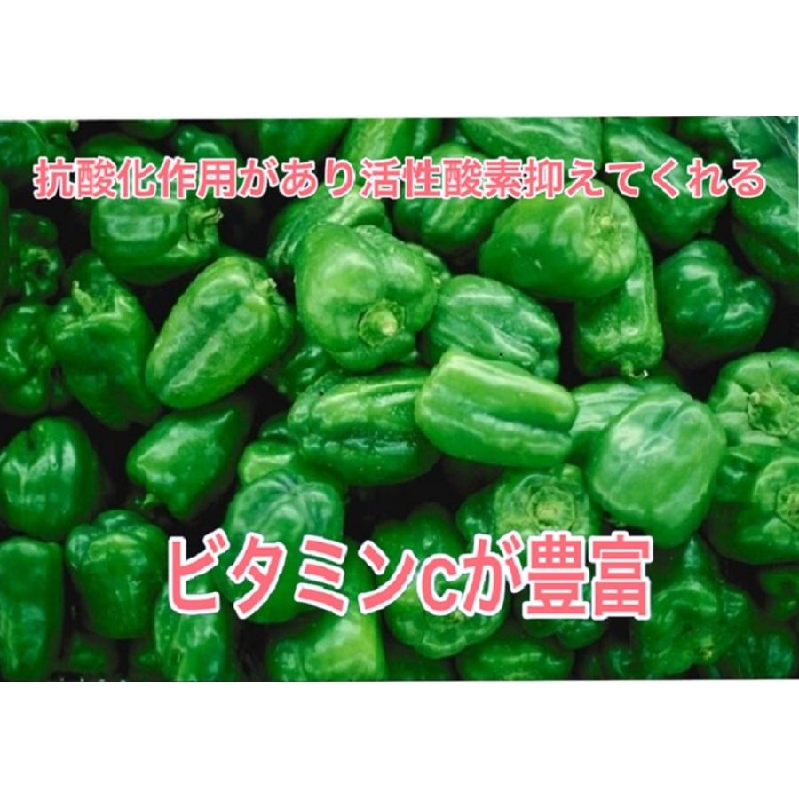 売れ筋ランキングも ピーマン 1kｇ 箱にバラ入り 青森産 国産 鉄板焼き q グルメ