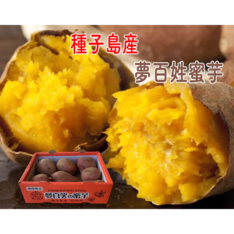 10月中下旬より順次発送 さつまいも サツマイモ 安納芋 蜜芋 鹿児島 種子島産 夢百笑の蜜芋 約750g前後 お試し価格 新鮮 市場直送 旬の野菜 7011 ケイ コンソートヤフー店 通販 Yahoo ショッピング