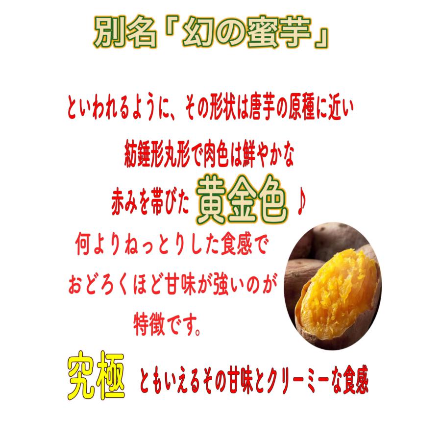 期間限定販売中 さつまいも サツマイモ 安納芋 蜜芋 鹿児島 種子島産 夢百笑の蜜芋 約750g前後 お試し価格 新鮮 市場直送 旬の野菜 野菜 7011 ケイ コンソートヤフー店 通販 Yahoo ショッピング