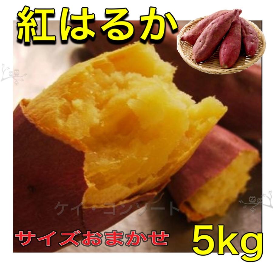 さつまいも サツマイモ 甘藷 紅はるか 鹿児島 茨城県産 サイズお任せ 5kg 新鮮 市場直送 :7015:ケイ・コンソートヤフー店 - 通販 - Yahoo!ショッピング さつまいも サツマイモ 甘藷 紅はるか 鹿児島 茨城県産 サイズお任せ 5kg 新鮮 市場直送 :7015:ケイ・コンソートヤフー店 - 通販 - Yahoo!ショッピング