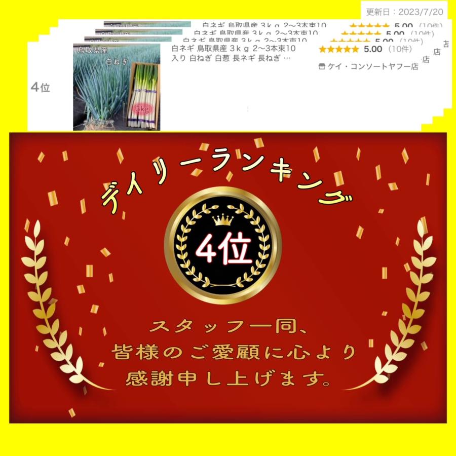 白ネギ 鳥取県産 3ｋｇ 2〜3本束10入り 白ねぎ 白葱 長ネギ 長ねぎ 鳥取野菜 新鮮野菜｜k-consort-y｜02