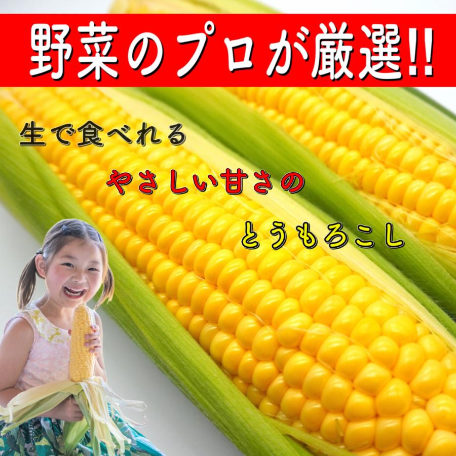 楽天1位 とうもろこし トウモロコシ ゴールドラッシュ もろこし スイートコーン q 野菜 果物 お中元 プレゼント 贈り物 フルーツコーン レンジ レシピ 人気 ご飯 保存 Whitesforracialequity Org
