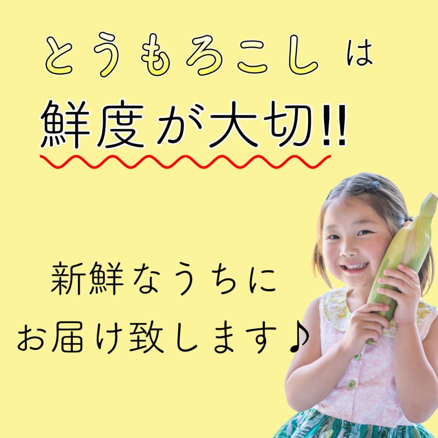 【5月上中旬より発送予定】とうもろこし トウモロコシ ゴールドラッシュ スイートコーン  野菜 お中元 プレゼント 贈り物 フルーツコーン  レシピ 人気 ご飯｜k-consort-y｜04