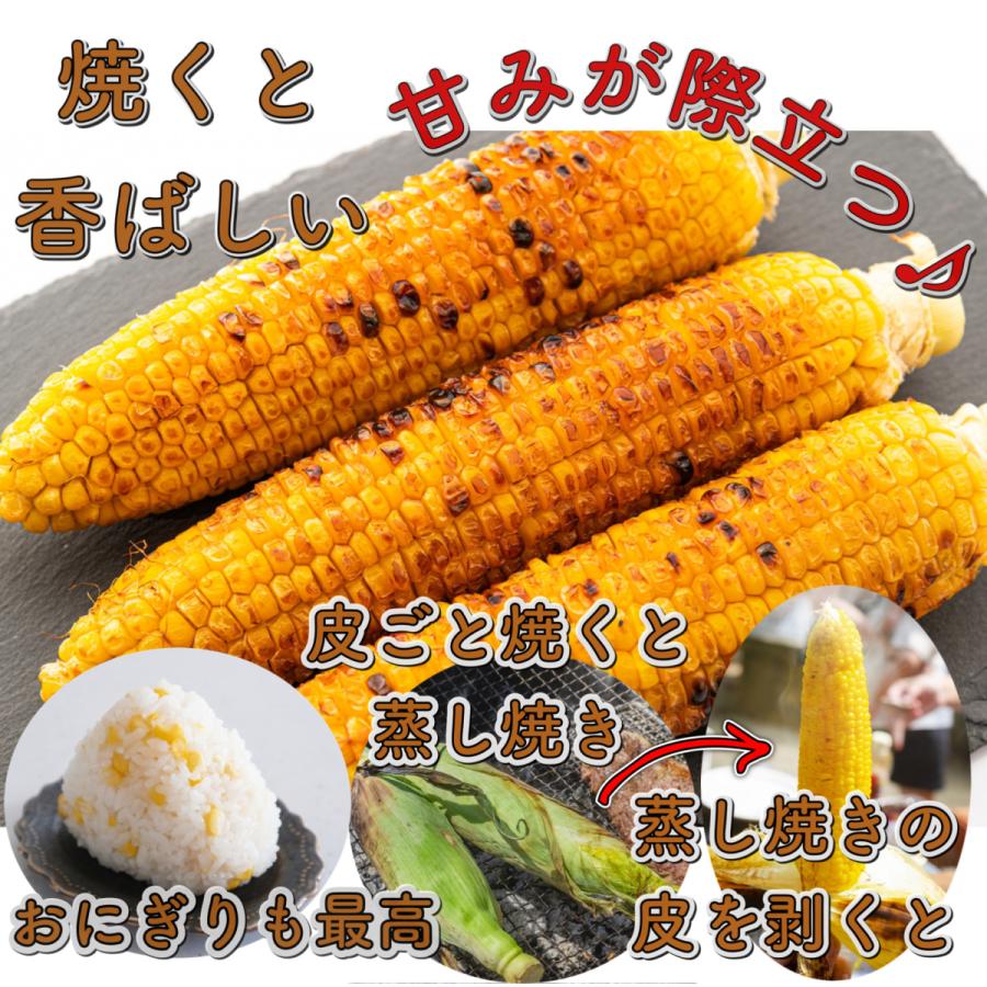 最大の割引 とうもろこし トウモロコシ ゴールドラッシュ もろこし スイートコーン q 野菜 果物 お中元 プレゼント 贈り物 フルーツコーン レンジ レシピ 人気 ご飯 保存 Whitesforracialequity Org