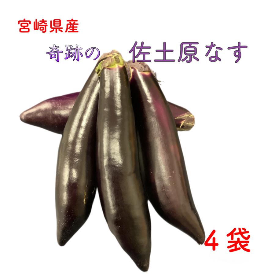 宮崎県産 佐土原なす なす ナス 佐土原ナス 奇跡のナス 茄子 なすび 4