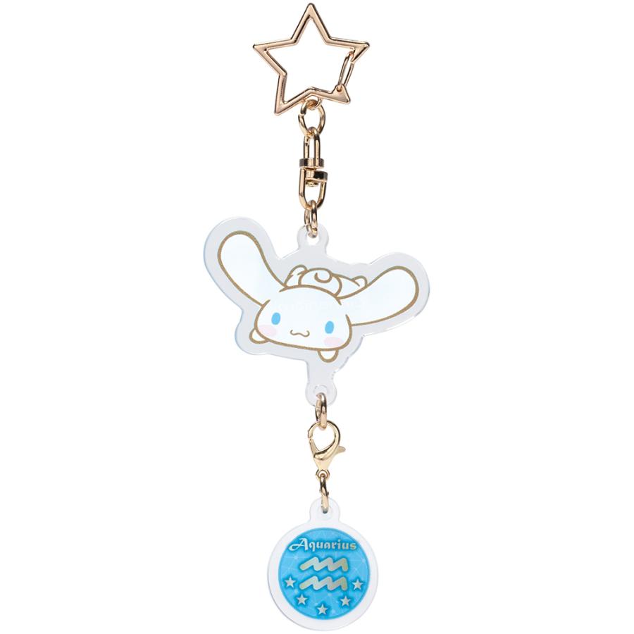 専用ページ！REBORN 星座 アクリルキーホルダー 12点 メール便 スケーター アクリル 星座キーホルダー シナモロール 水瓶座
