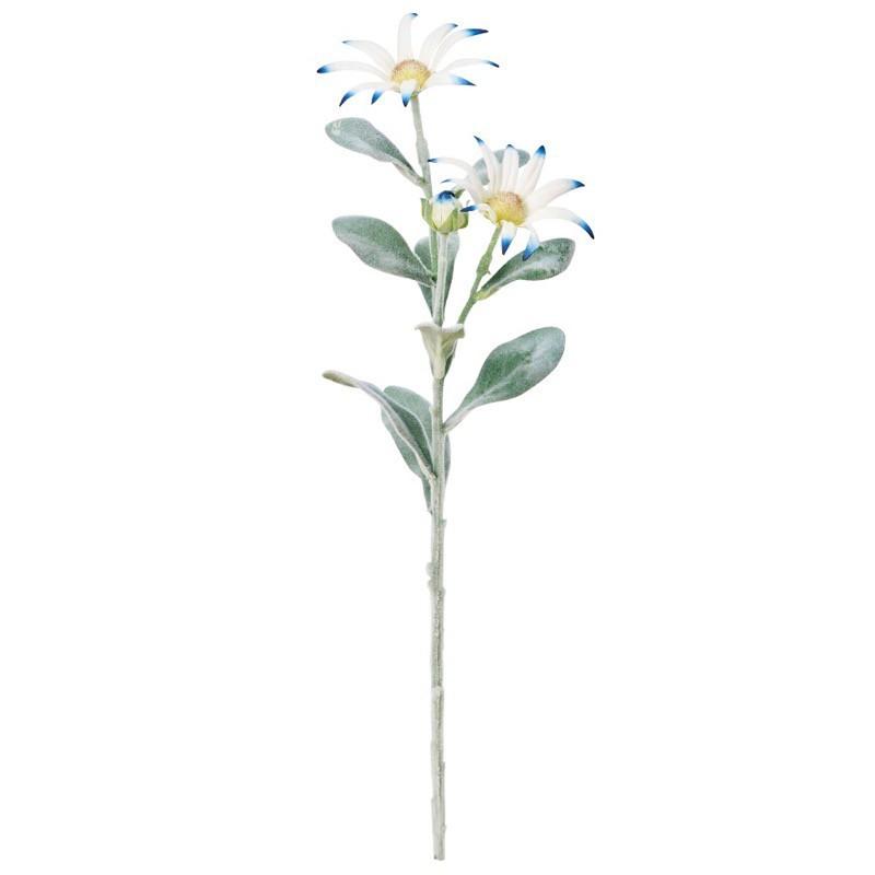 Asca エーデルワイス 2輪 つぼみ1個 花材 造花 A A フェイクグリーンの神戸花物語 通販 Yahoo ショッピング