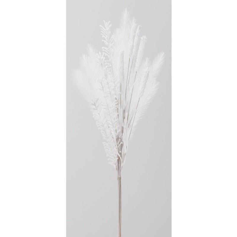 はな Amazon | ホンダ ライブディオ ZX ディスク ハイマウント