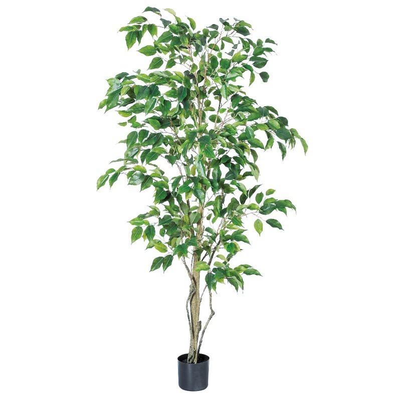 asca ファイカスツリー（ポット付） フェイクグリーン 観葉植物 造花 A-50858