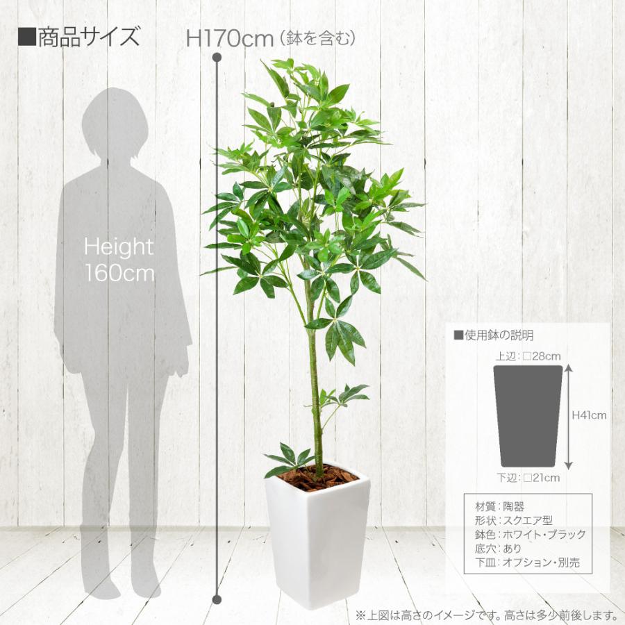 神戸花物語 フェイクグリーン 観葉植物 人工観葉 大型 光触媒 神戸花物語 フェイクグリーン 観葉植物 人工観葉 大型 光触媒