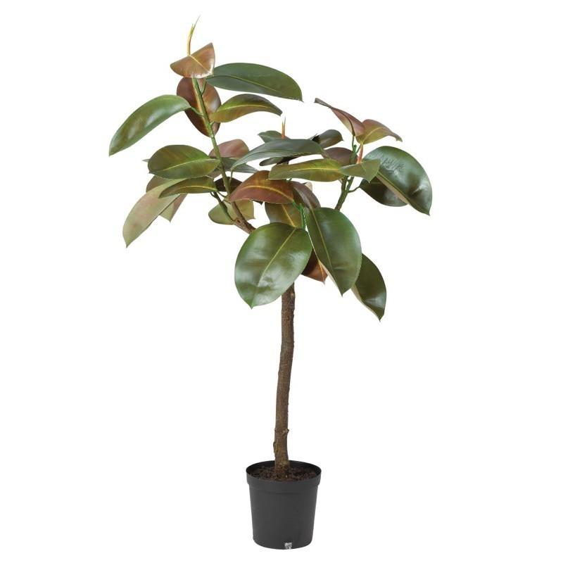 割引ショッピング Asca ゴムの木 ポット付 フェイクグリーン 観葉植物 造花 A A フェイクグリーンの神戸花物語 通販 Yahoo ショッピング 売り出し格安 Sbdkab Go Id