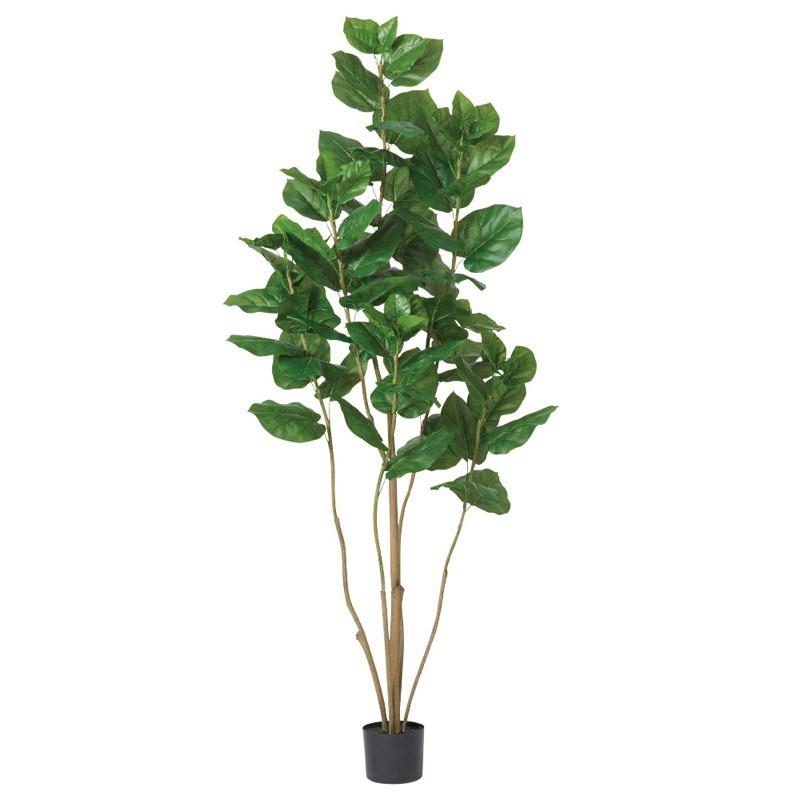asca ウンベラータ（ポット付） フェイクグリーン 観葉植物 造花 A-51028