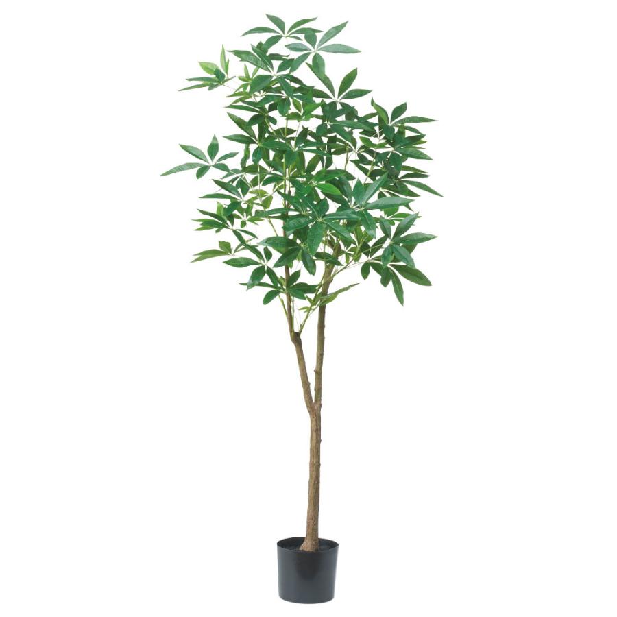 asca パキラ(ポット付) フェイクグリーン 観葉植物 造花