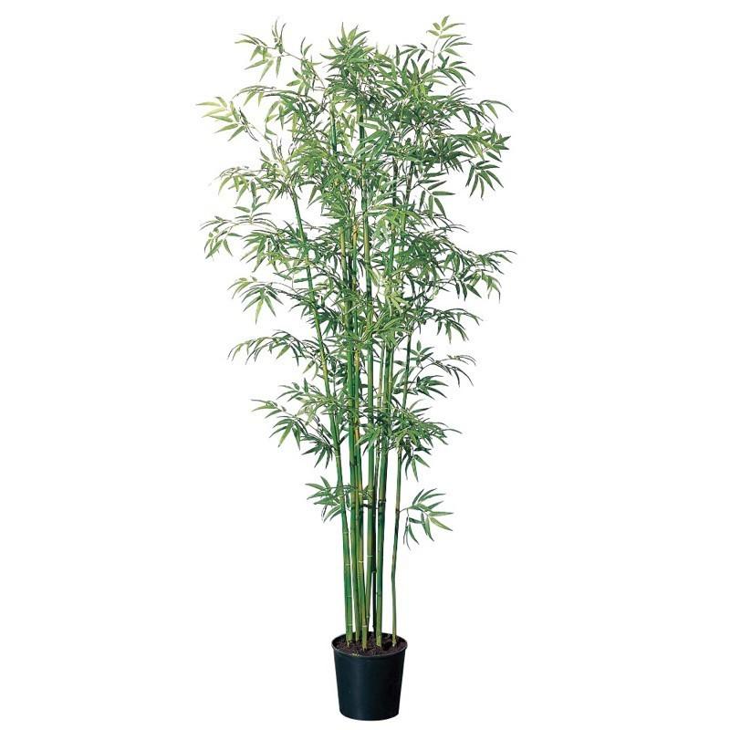 asca バンブーツリー（S）（ポット付） 竹 フェイクグリーン 観葉植物 造花 A-56005