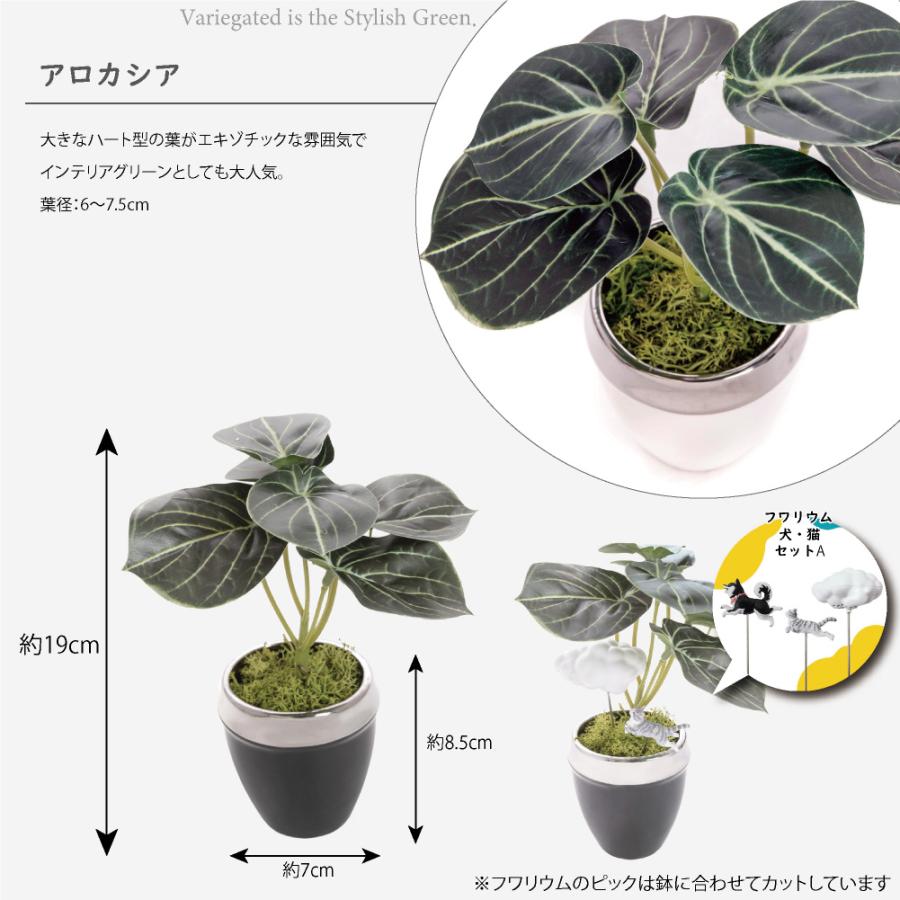 光触媒 人工観葉植物 ウォールグリーン フェイクグリーン アロカシア