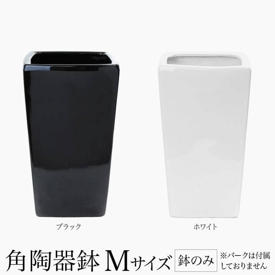 フェイクグリーン ポット 鉢 アークオリジナル 角陶器鉢 Mサイズ 中サイズ 人工観葉植物 観葉植物 造花 インテリア Arkpot M フェイクグリーンの神戸花物語 通販 Yahoo ショッピング
