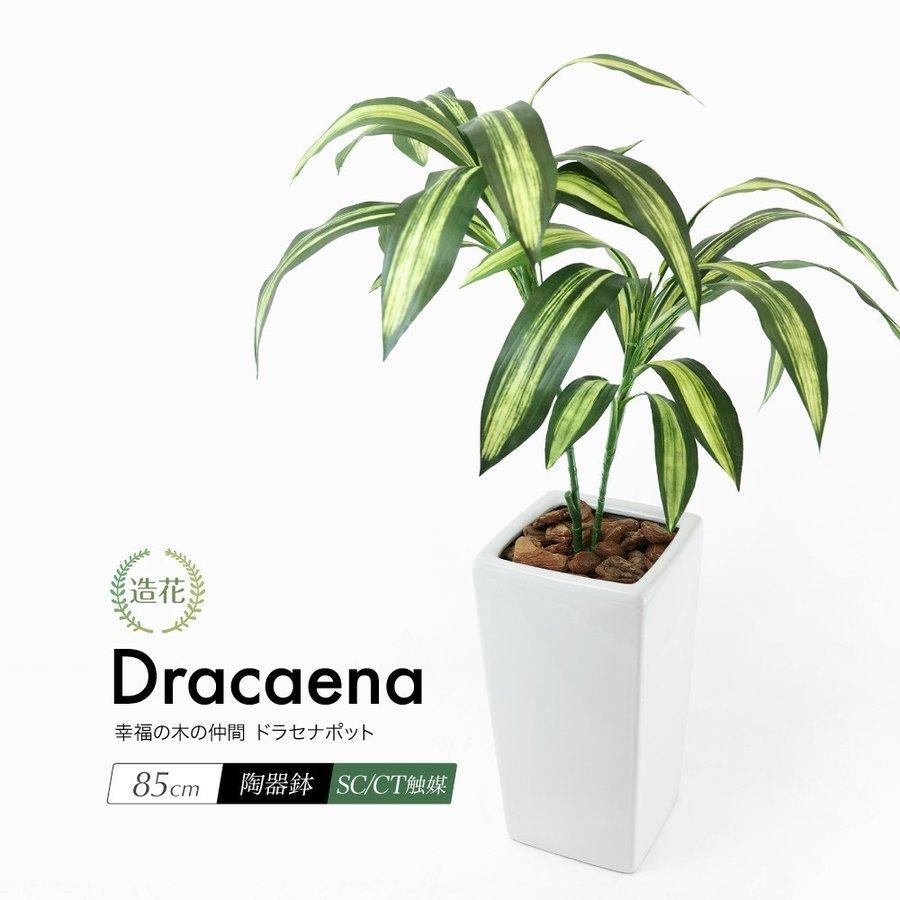 熱販売 人工観葉植物 インテリアグリーン ドラセナ コンシンネ 5号鉢対応 リビング 店舗 ショップ お店 代引不可 Tp 観葉植物