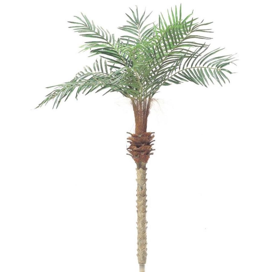 最安 人工観葉植物 フェニックスパームツリー M 150cm フェイクグリーン 大型 観葉植物 造花 光触媒 Ct触媒 インテリア G L Bt 0109 M フェイクグリーンの神戸花物語 通販 Yahoo ショッピング 無料長期保証 Missbargainhuntress Com