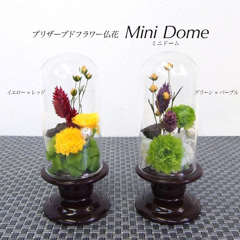 プリザーブドフラワー仏花 ミニドーム 1個 御供 お供え 仏壇 初盆 法要 法事 お仏壇 供花 水やり不要 Bukka Minidome フェイクグリーンの神戸花物語 通販 Yahoo ショッピング