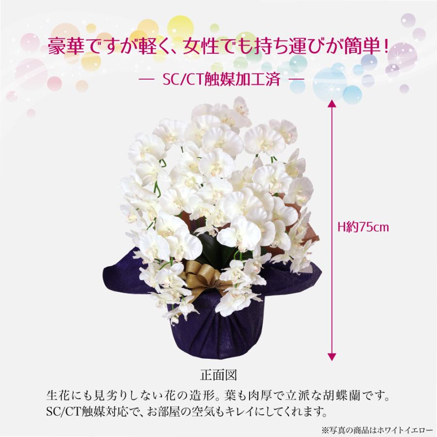 花 ギフト プレゼント 胡蝶蘭 胡蝶蘭 ラベンダー ホワイト 5本立ちお祝い 贈り物 Cotyoran Rabe フェイクグリーンの神戸花物語 通販 Yahoo ショッピング