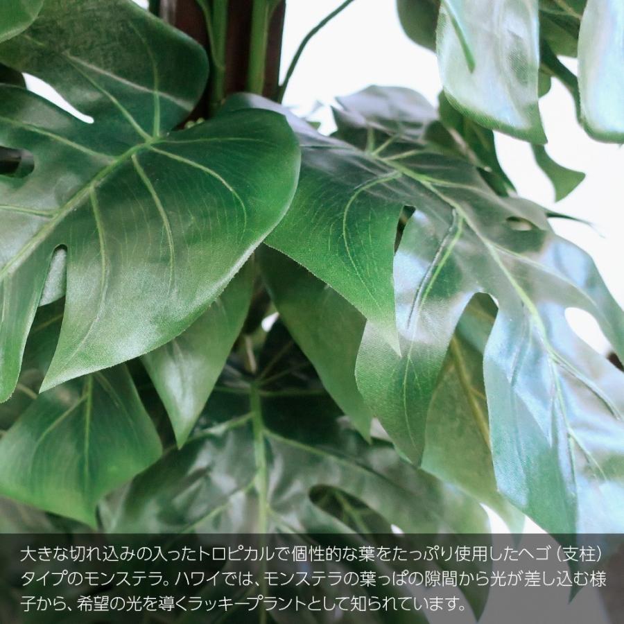 人工観葉植物 フェイクグリーン 大型 Dxモンステラヘゴ デリキオサ 165cm 鉢植 観葉植物 造花 光触媒 Ct触媒 Dx Monsterahego フェイクグリーンの神戸花物語 通販 Yahoo ショッピング