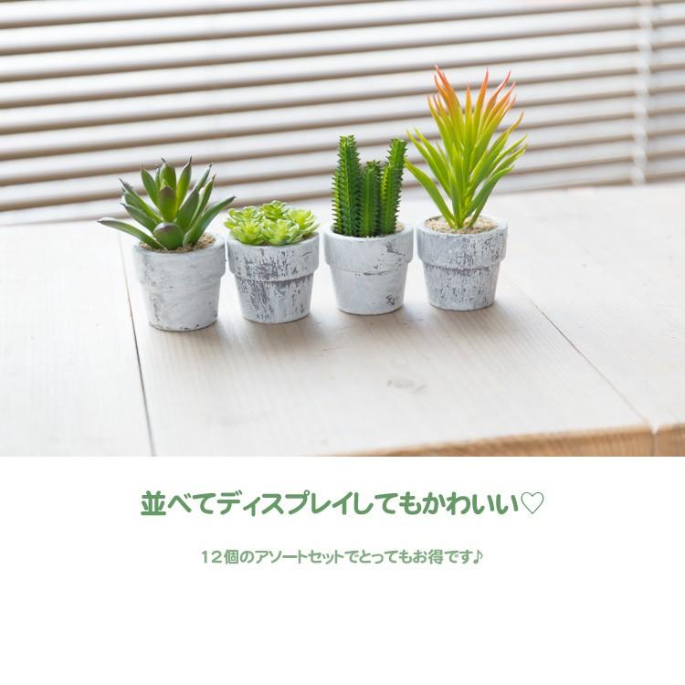神戸花物語 フェイクグリーン 観葉植物 人工観葉 卓上 ミニ 神戸花物語 フェイクグリーン 観葉植物 人工観葉 卓上 ミニ