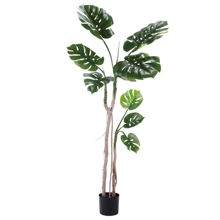 人工観葉植物 フェイクグリーン 観葉植物 造花 大型 モンスララ 小 お祝い Ct触媒 いつでも送料無料 インテリア 170cm 抗菌 消臭 おしゃれ