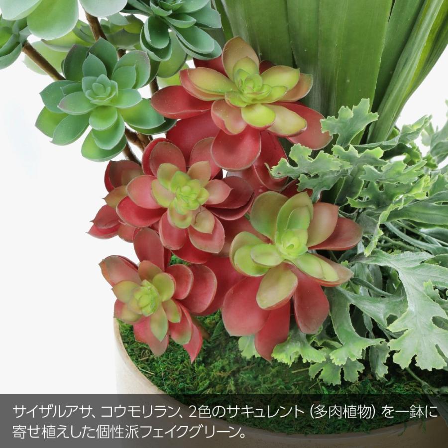 ⑦【処分価格】新品 サイザルアサ 160cm 人工観葉植物 インテリア