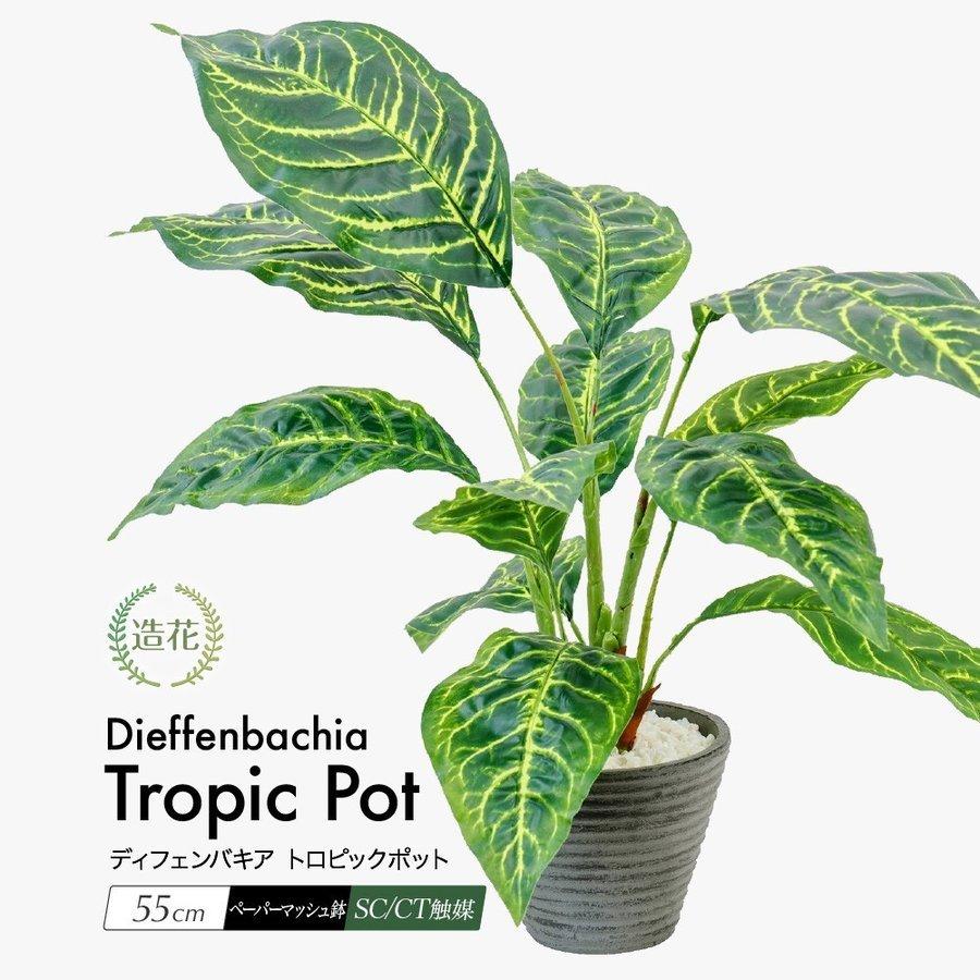 フェイクグリーン ディフェンバキア トロピックポット 55cm 鉢植 人工 観葉植物 造花 光触媒 Ct触媒 インテリア ミニ テーブル 父の日 Gl 4984gr Pot フェイクグリーンの神戸花物語 通販 Yahoo ショッピング