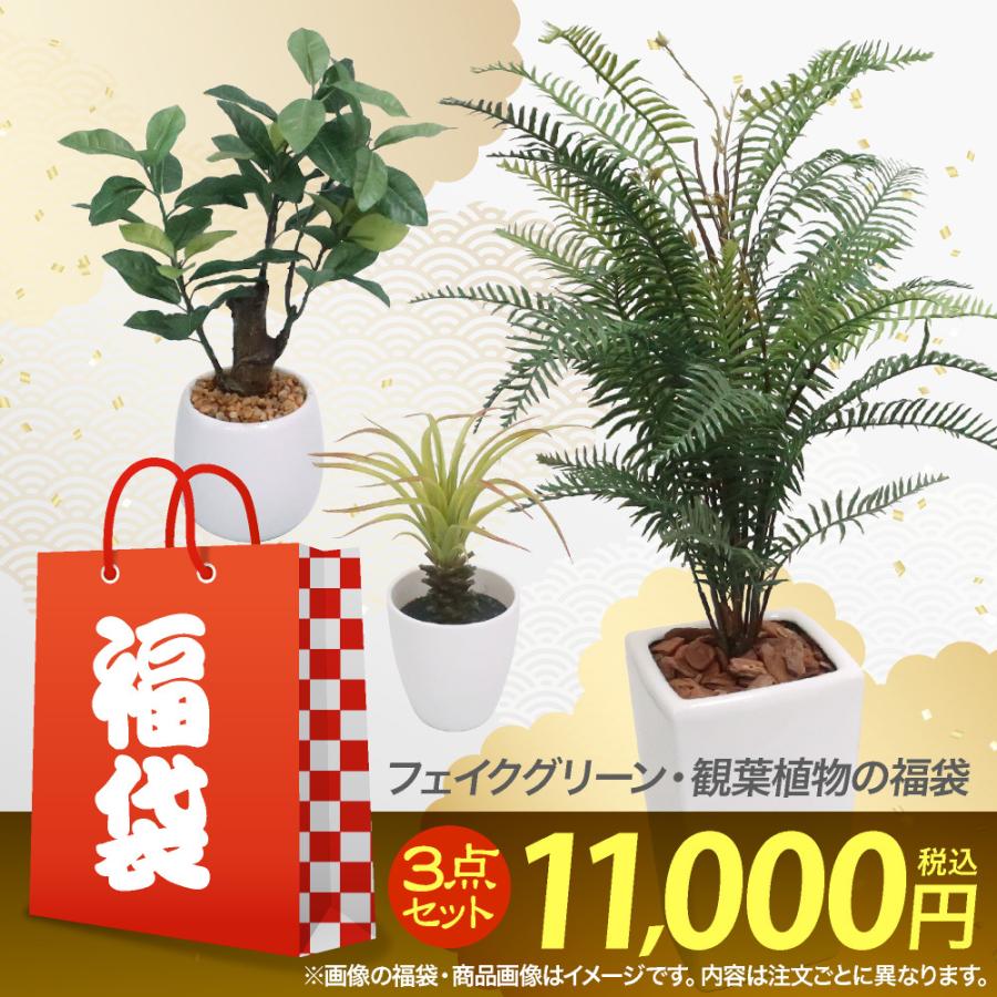 福袋 2024 観葉植物の福袋 フェイクグリーン3点セット ハッピーバッグ 人工観葉植物 光触媒 CT触媒｜k-hana