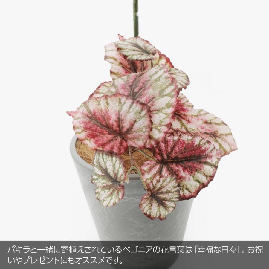 人工観葉植物 トラディスカンチア セブリナ ブッシュ 全長50cm 2本セット トラディスカンティア 斑入り 造花 フェイクグリーン D Leb 36 Pg 人工観葉植物と造花の通販ケイシン 通販 3pcs人工植物ぶら下がりつる偽の葉ガーランドシンダプスヴァイン Vladatk Gov Ba