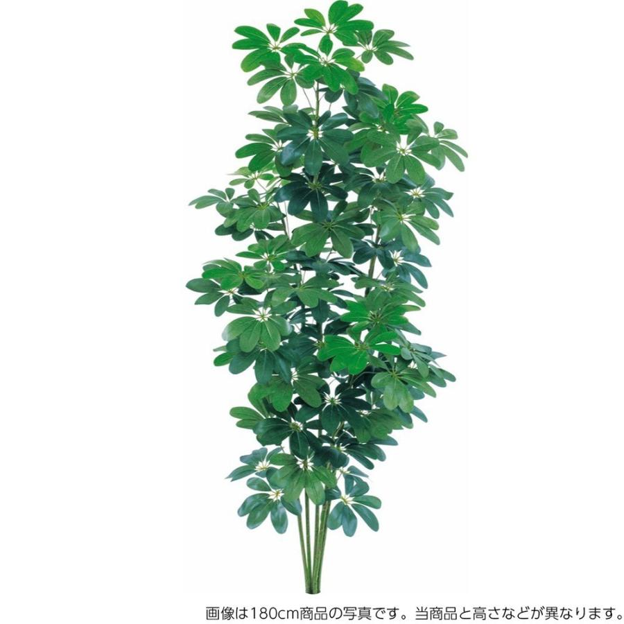 神戸花物語 人工観葉植物 シェフレラ 150cm カポック 樹木 フェイク