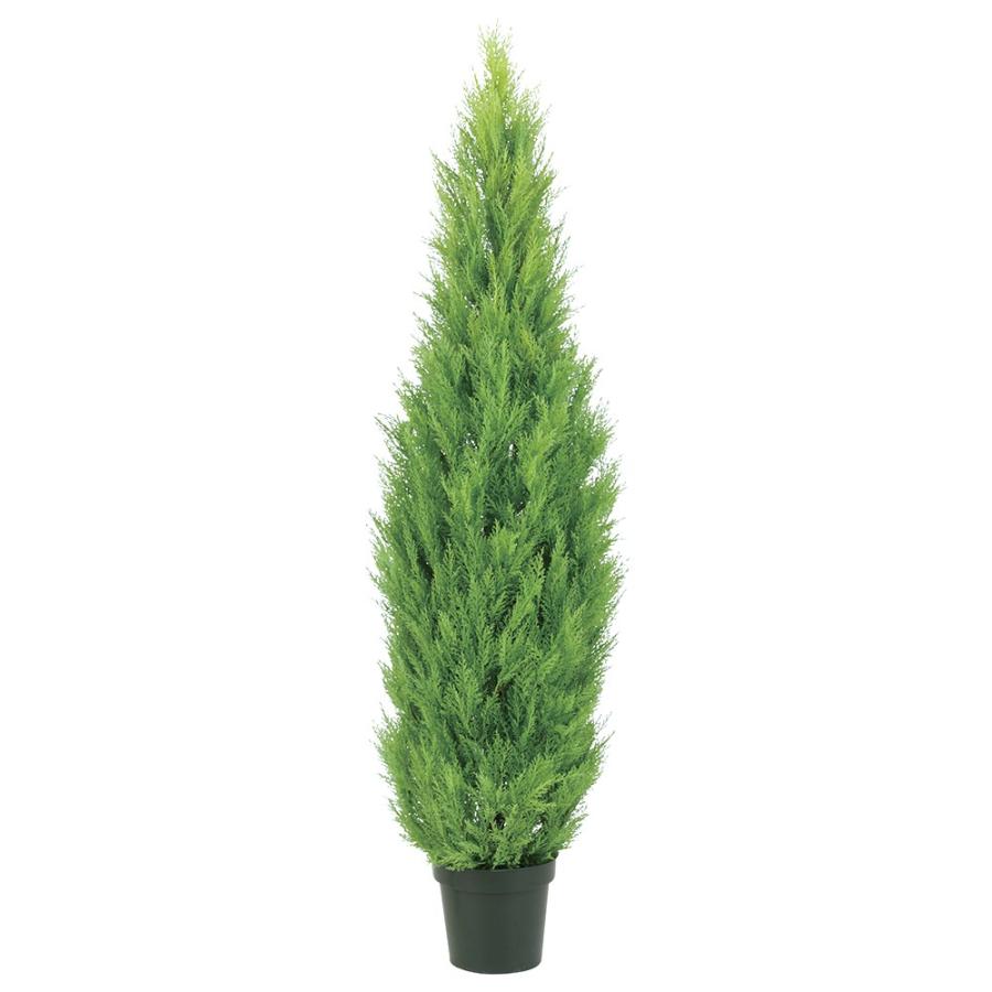 新しいコレクション 人工観葉植物 フェイクグリーン 観葉植物 造花 ゴールドクレスト 90cm インテリア おしゃれ フェイク グリーン Ct触媒 消臭 最先端 Www Thedailyspud Com