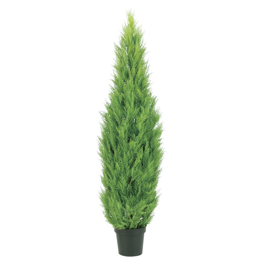 観葉植物 造花 屋外対応 ゴールドクレスト 1cm 樹木 人工観葉植物 大型 フェイクグリーン 光触媒 Ct触媒 インテリア Tp1172 12 Ka Tp1172 12 フェイクグリーンの神戸花物語 通販 Yahoo ショッピング